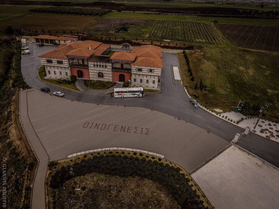 oenogenesis estate 3.jpg